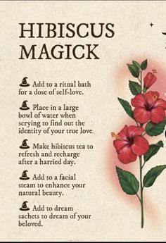 Mistletoe Magical Properties, Glamour Magick Herbs, Plant Magick, Glamour Magick, Candle Magic Spells, Kitchen Witch Recipes, Medicinal Herbs Garden