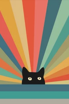 a black cat peeking out from behind a rainbow colored background with sunbursts