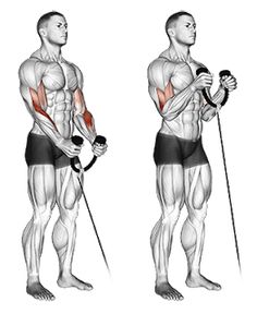 an image of a man doing exercises with the muscles in front and behind his back