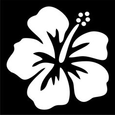 a white flower on a black background with the words hiloa written below it