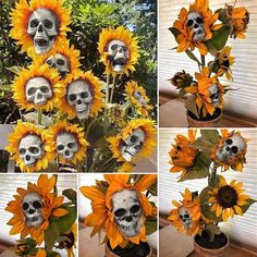 several pictures of sunflowers with skulls in them