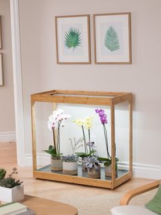 a living room filled with potted plants on top of a wooden table next to two framed pictures