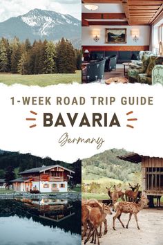 the road trip guide to bavara, germany is one of the best things to see