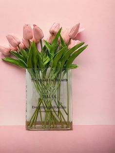 pink tulips in a clear vase on a pink background