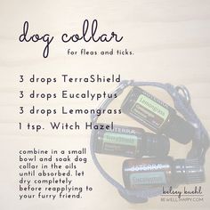 the instructions for how to use dog collars