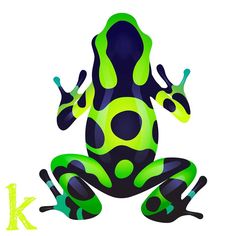 a green and black frog sitting on top of a white background with the letter k below it