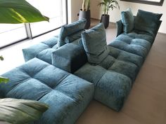 a large blue couch sitting on top of a hard wood floor next to a potted plant