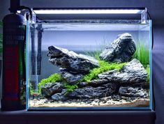 an aquarium with rocks and plants in it