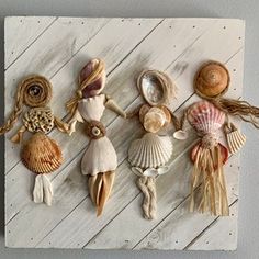 several seashells and shells are arranged on a white wooden paneled wall hanging