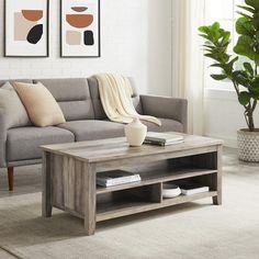 a living room with a couch, coffee table and potted plant