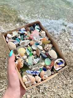 a hand holding a box filled with sea glass and seashells on the beach