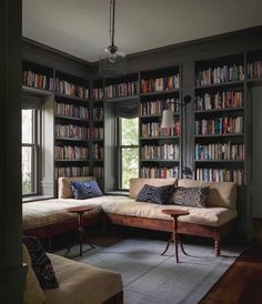 a living room filled with furniture and bookshelves next to a window covered in windows