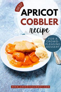 A serving of apricot cobbler with golden-brown crust, juicy apricots, and a scoop of vanilla ice cream on a white plate. Fresh Apricots, Apricot Recipes, Cream Custard, American Desserts