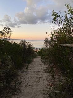 a path leading to the beach at sunset