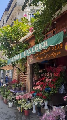 a flower shop with lots of potted flowers outside