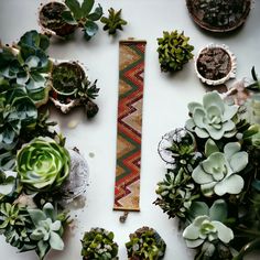 an assortment of succulents and plants are arranged around a bracelet on a table