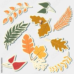 an assortment of autumn leaves cut outs