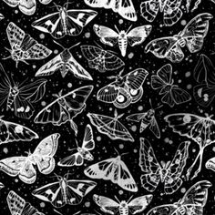 black and white butterflies flying in the sky with stars around them on a dark background