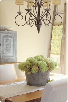 a potted plant sitting on top of a wooden table next to a white chair