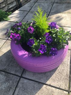 a purple tire planter with flowers in it