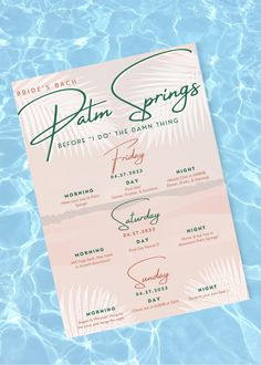 the palm springs poster is shown in water