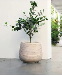 Planter Pots, Home And Garden, Stone, 10 Things