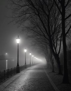 a foggy night with street lights and benches on the side of a road next to water