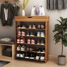 there is a shoe rack with many pairs of shoes on it next to a potted plant