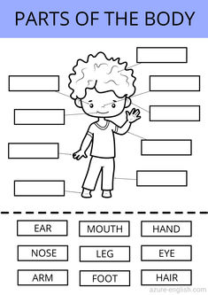 parts of the body worksheet for kids to practice their language and writing skills