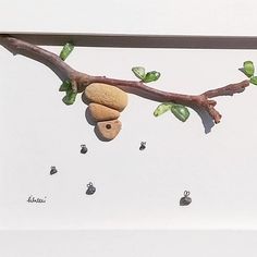 a tree branch with leaves and nuts hanging from it