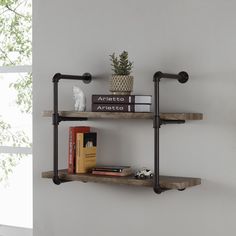 two shelves with books and plants on them