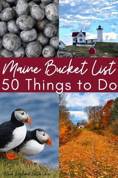 many different pictures with the words maine bucket list 50 things to do in front of them