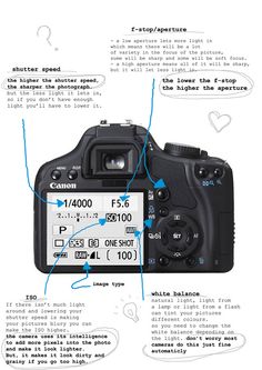 an image of a digital camera with instructions on the front and back side, labeled in blue