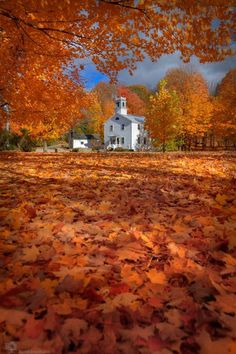 a white house surrounded by trees with fall leaves on the ground in front of it