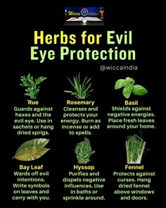 Protect yourself from the evil eye with these powerful herbs. 🌿✨ Herbs Witchcraft, Herbs For Protection, Magickal Herbs, Negative Vibes, Witch Herbs, Herbal Magic For Wiccans, Easy Spells, Witch Spirituality, Magic Herbs