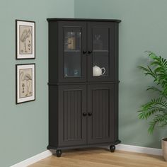 a black cabinet with glass doors in the corner next to a potted plant and pictures on the wall