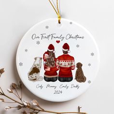 a personalized christmas ornament with two dogs and a cat on it's back