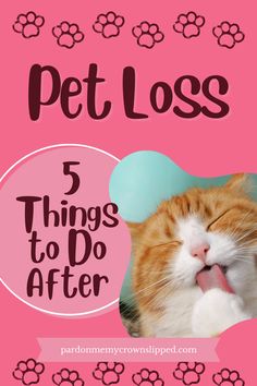 an orange and white cat with its tongue out in front of a pink background that says pet loss 5 things to do after