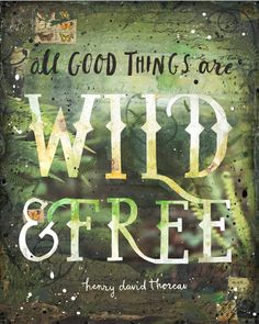 a poster with the words wild and free written in white ink on green, brown and black