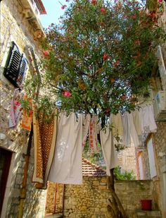 an alleyway with clothes hanging from the trees