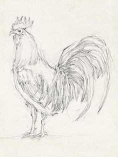 a black and white drawing of a rooster