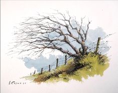 a watercolor painting of a bare tree on a grassy hill with fence posts in the foreground