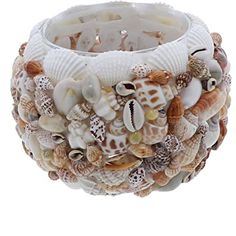 a candle holder made out of seashells and shells