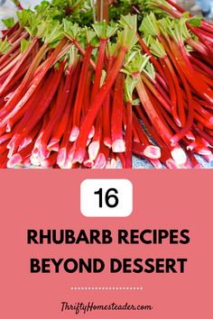 rhubarb recipe with text overlay that reads 16 rhubarb recipes beyond desert