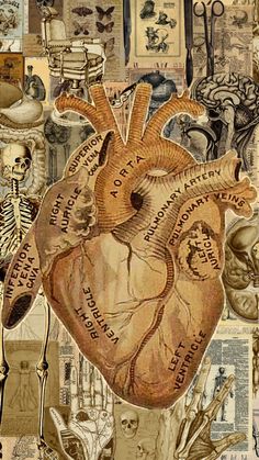 a collage of medical images with an image of a human heart