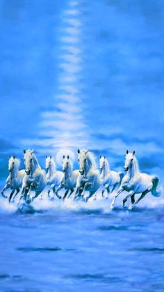 a group of white horses running in the ocean together with their heads turned to look like they are galloping