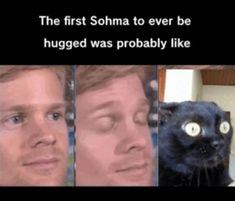 the first sona to ever be hugged was probably like cat face facial expression photo caption