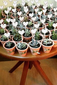 there are many potted plants on the table with hearts cut out of them to spell out love