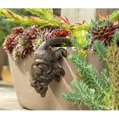 a planter filled with succulents and plants