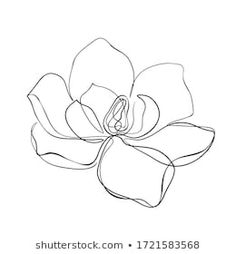 the outline of a flower on a white background